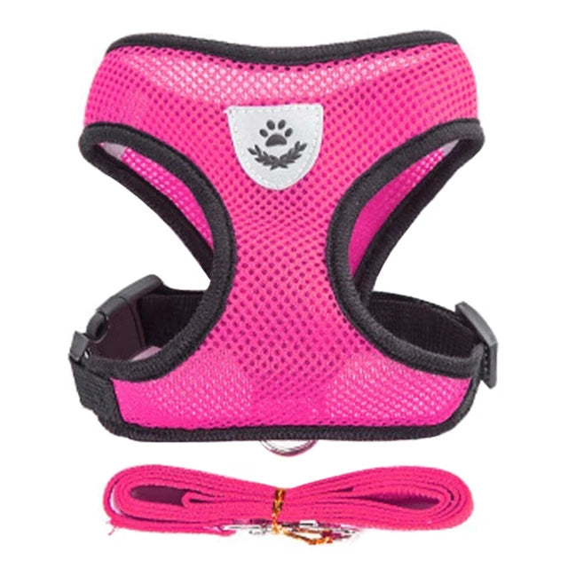 Adjustable Cat & Dog Harness Set|Comfortable mesh vest with leash for small & medium pets