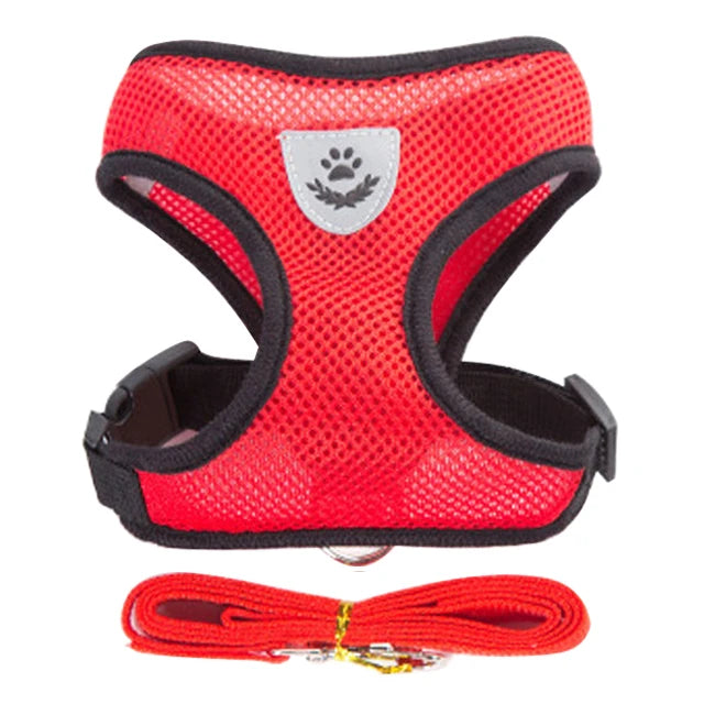 Adjustable Cat & Dog Harness Set|Comfortable mesh vest with leash for small & medium pets