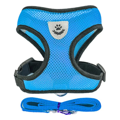 Adjustable Cat & Dog Harness Set|Comfortable mesh vest with leash for small & medium pets