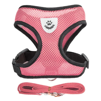 Adjustable Cat & Dog Harness Set|Comfortable mesh vest with leash for small & medium pets