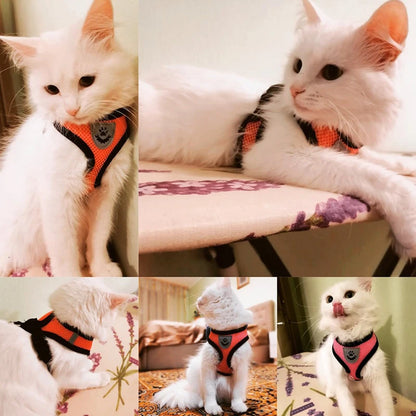 Adjustable Cat & Dog Harness Set|Comfortable mesh vest with leash for small & medium pets