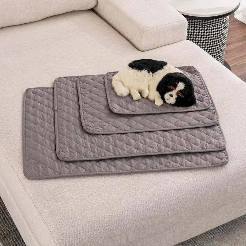 Pet Bed & Diaper Cover|Keep furniture clean & pets comfortable