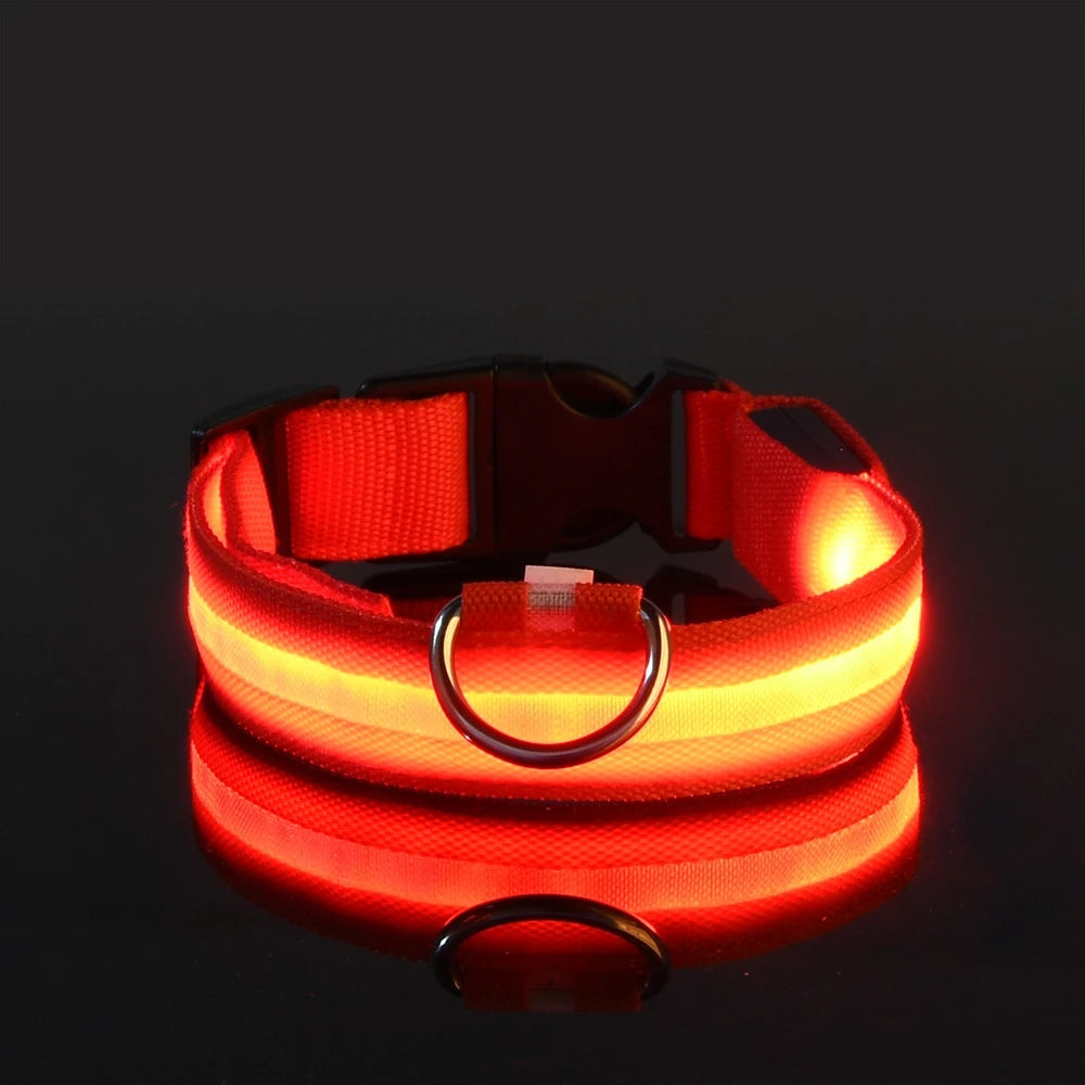 LED Glow Dog Leash & Collar|Keep your pet safe and stylish at night