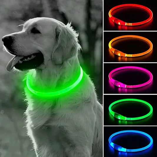 LED Dog Collar – USB Rechargeable|Keep pets safe & stylish day or night