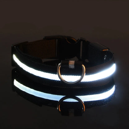 LED Glow Dog Leash & Collar|Keep your pet safe and stylish at night