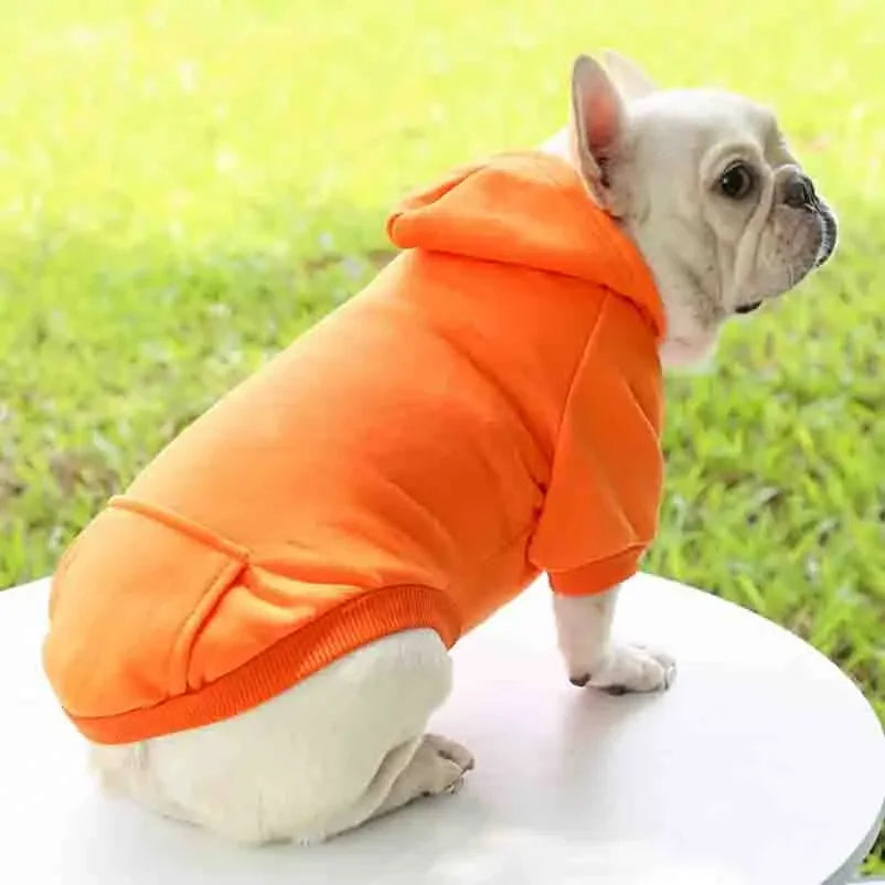 Dog Winter Hooded Sweatshirt|Keep your pup cozy and stylish