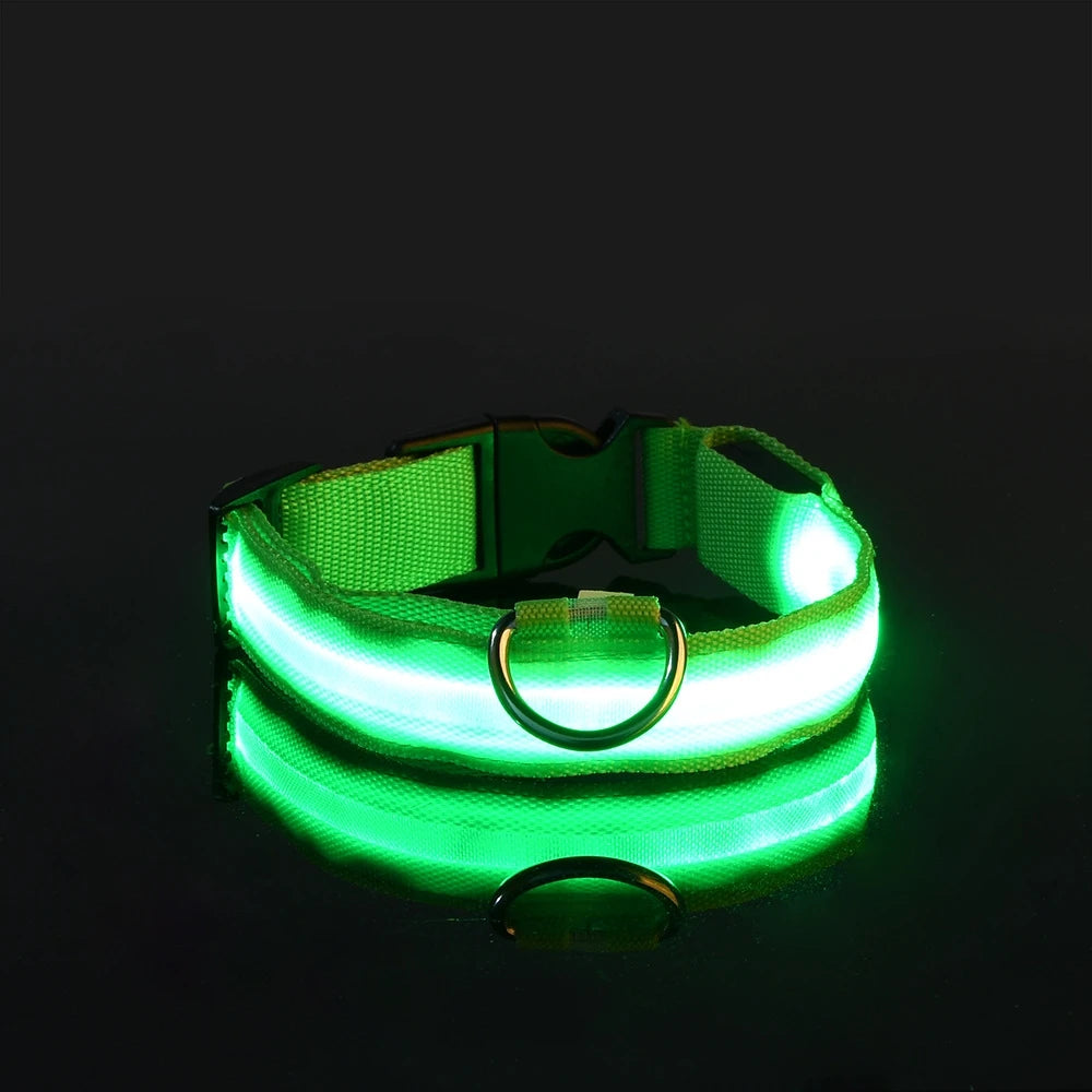 LED Glow Dog Leash & Collar|Keep your pet safe and stylish at night