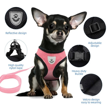 Adjustable Cat & Dog Harness Set|Comfortable mesh vest with leash for small & medium pets