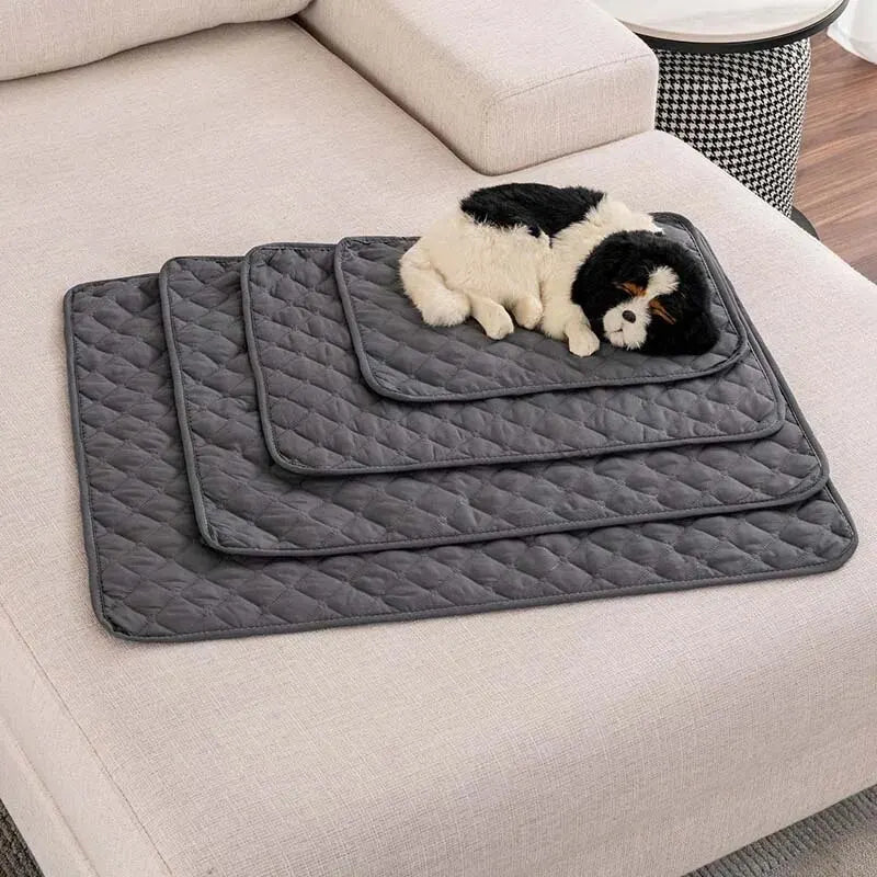 Pet Bed & Diaper Cover|Keep furniture clean & pets comfortable