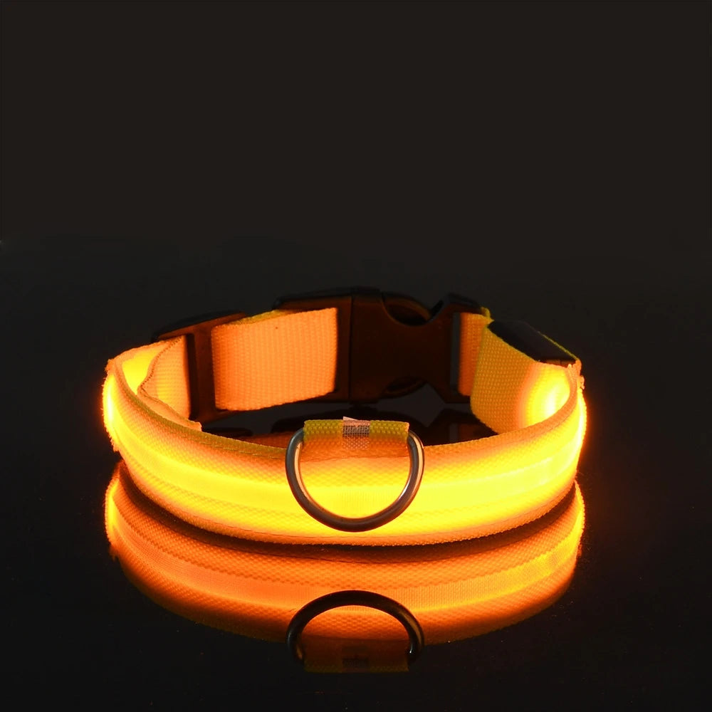 LED Glow Dog Leash & Collar|Keep your pet safe and stylish at night