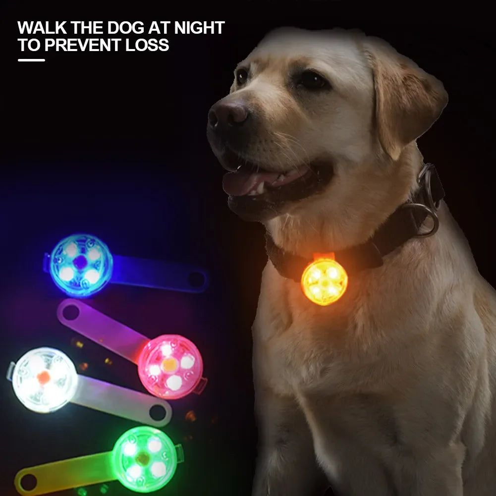 LED Safety Collar Pendant|Keep pets safe and visible anytime