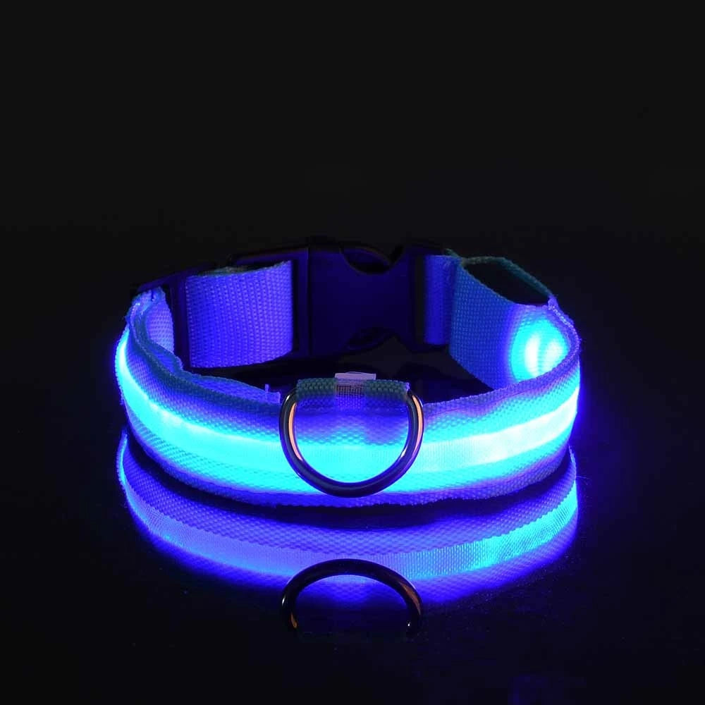 LED Glow Dog Leash & Collar|Keep your pet safe and stylish at night