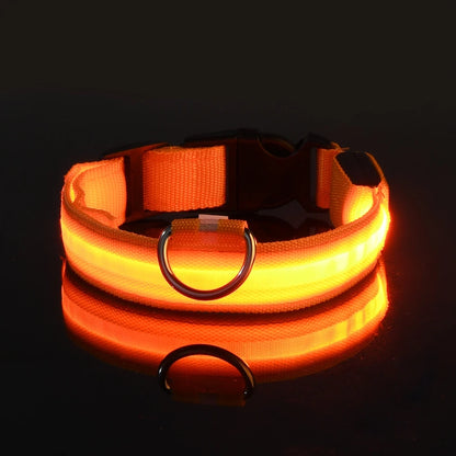 LED Glow Dog Leash & Collar|Keep your pet safe and stylish at night