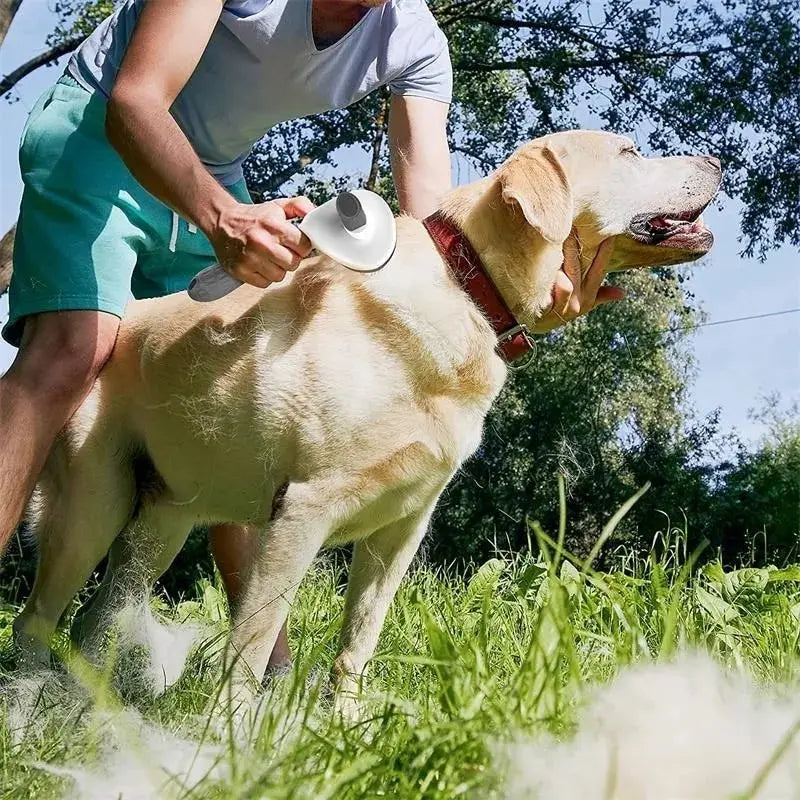 Self-Cleaning Pet Brush & Hair Remover |Effortlessly groom dogs & cats with ease