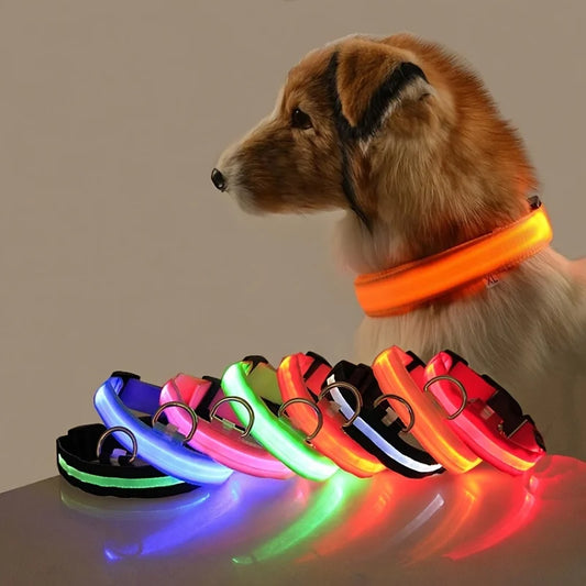 LED Glow Dog Leash & Collar|Keep your pet safe and stylish at night