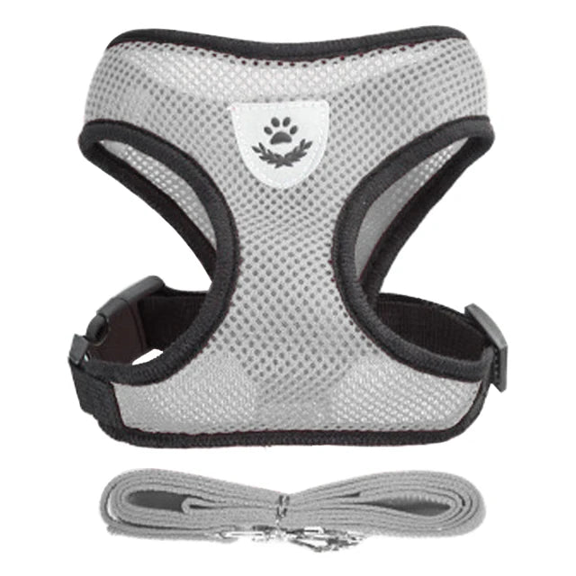 Adjustable Cat & Dog Harness Set|Comfortable mesh vest with leash for small & medium pets