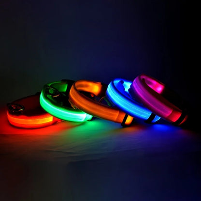 LED Glow Dog Leash & Collar|Keep your pet safe and stylish at night