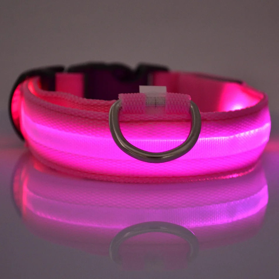 LED Glow Dog Leash & Collar|Keep your pet safe and stylish at night