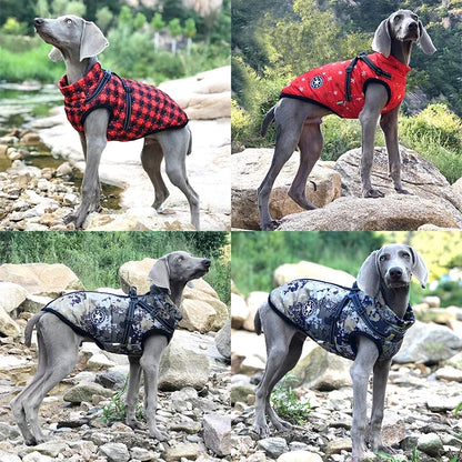 Large Dog Winter Jacket with Harness|Keep your dog warm, dry, and stylish