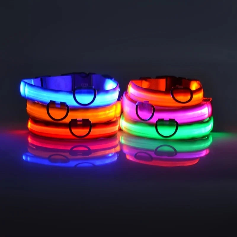 LED Glow Dog Leash & Collar|Keep your pet safe and stylish at night