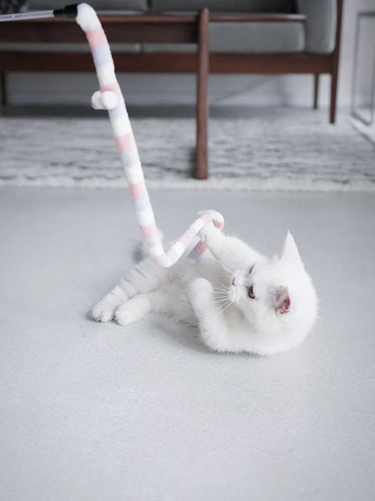 Interactive Feather Cat Wand|Keep your cat entertained & active