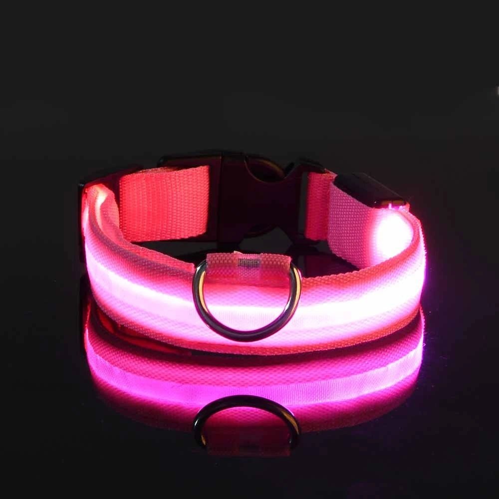 LED Glow Dog Leash & Collar|Keep your pet safe and stylish at night