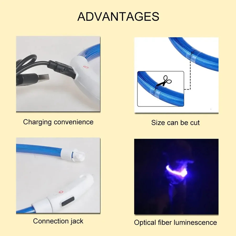 LED Dog Collar – USB Rechargeable|Keep pets safe & stylish day or night