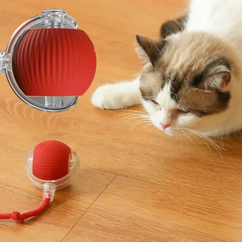 Smart Rolling Cat Toy Ball|Interactive, rechargeable, and mouse-like fun