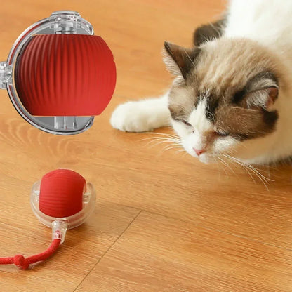 Smart Rolling Cat Toy Ball|Interactive, rechargeable, and mouse-like fun