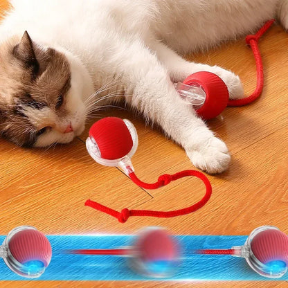 Smart Rolling Cat Toy Ball|Interactive, rechargeable, and mouse-like fun