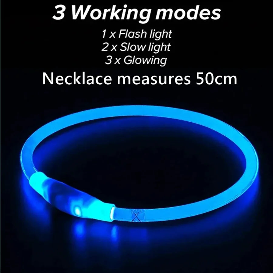 LED Dog Collar – USB Rechargeable|Keep pets safe & stylish day or night