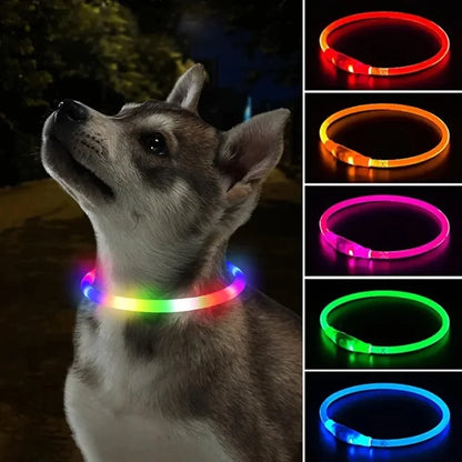 LED Dog Collar – USB Rechargeable|Keep pets safe & stylish day or night